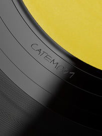 12" Vinyl, image 5