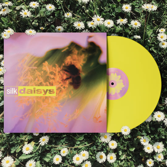 silk daisys | silk daisys