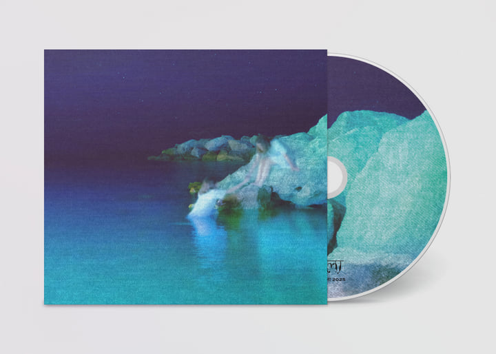 洋楽 LP V.A. FROM THESE SHORES Replicant Memories | bvdub + East of Oceans | LILA लीला
