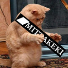 MITTAKEKI thumbnail