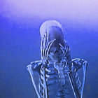 hotpotbot thumbnail
