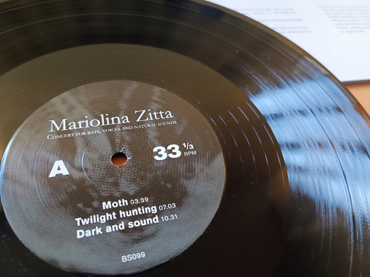 Concert For Bats, Voices And Natural Sounds | Mariolina Zitta