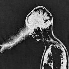 From Heaven On Earth | November Növelet