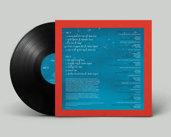 Limited Edition 12"Vinyl, image 2