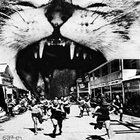 tacocatattack thumbnail