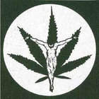 Habitualselfabuse420 thumbnail
