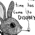 bunnymandan thumbnail
