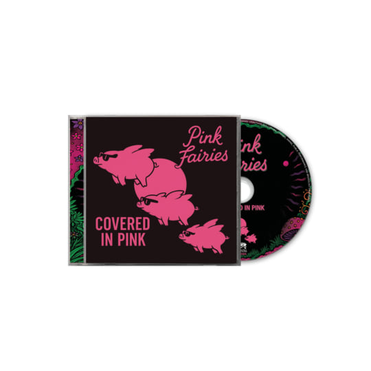CD PINK FAIRIES UP THE PINKS 廃盤 ガレージ サイケ