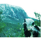 tüli thumbnail