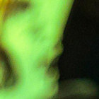 fidew thumbnail