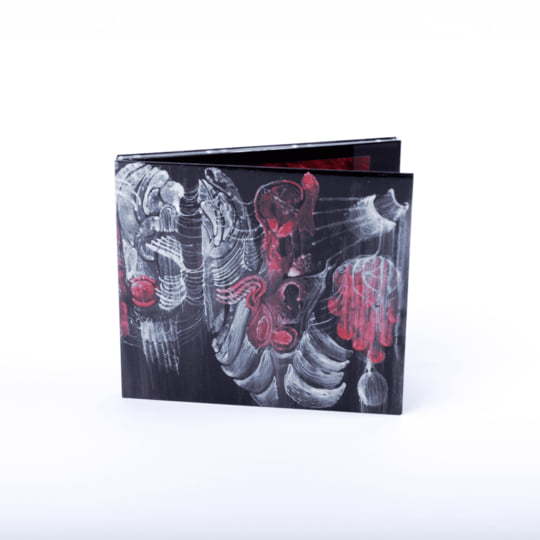 AVANT LIMITED 34 アート写真集