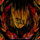 soliskruf thumbnail