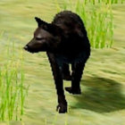 araseya thumbnail