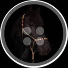 Frisian Buttonhole Art thumbnail