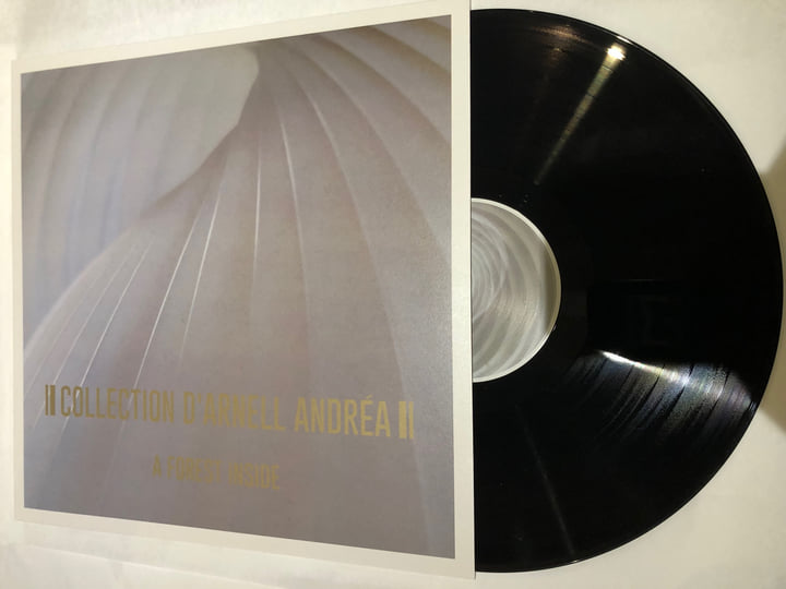 A Forest Inside | Collection D'Arnell-Andrea | Meidosem Records