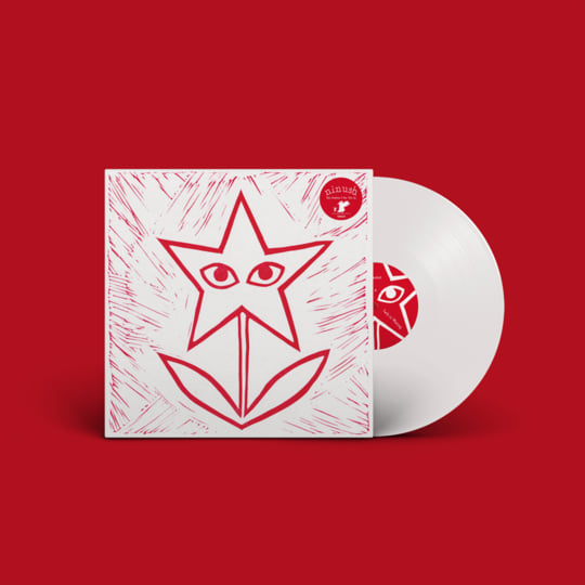 NINUSH / THE FLOWERS I SEE YOU IN レコード The Flowers I See You In | Ninush