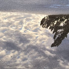 huddlecreatures thumbnail