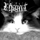 morgondagens thumbnail