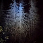 Solumine thumbnail