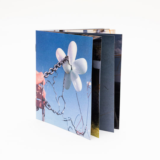 Dream Disc | Various Artists | Daisy Chain Recordings