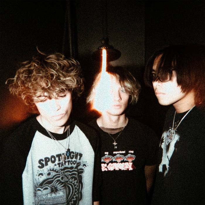 Willowake — Photo