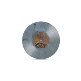 Rolo Tomassi  - In the Echoes of All Dreams on Eco Mix 10” Graphite Vinyl, image 3