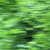 ToBeFrankOrNotToBe thumbnail