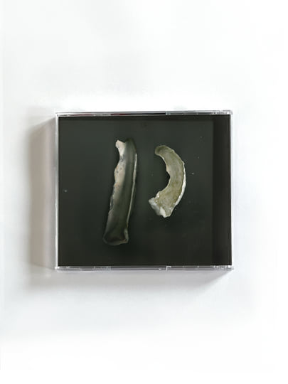 Broken Horns | BJ Holy