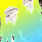 Tarj thumbnail