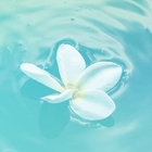 🌸 雷菈 🌸 thumbnail