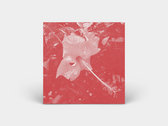 Merch | Celer