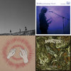 A Distant Shore” (Live Album) | Lamp | Botanical House