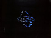 Dopplereffekt - Calabi Yau Space 2LP | Creme Organization