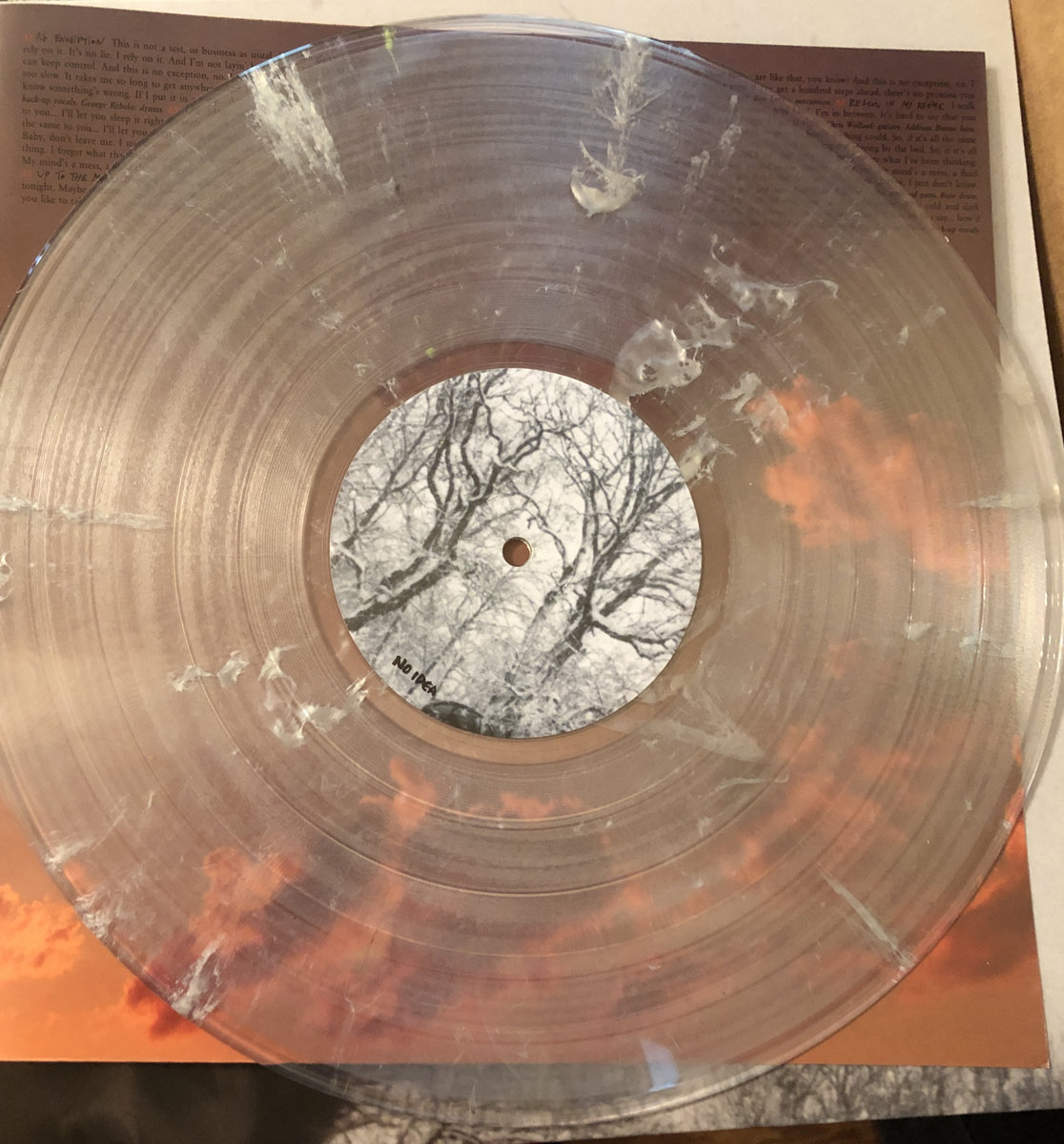 Self-Titled | CHRIS WOLLARD & THE SHIP THIEVES | No Idea Records
