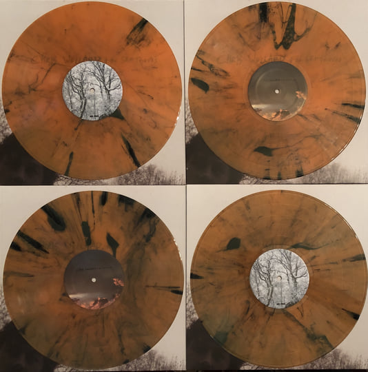 Self-Titled | CHRIS WOLLARD & THE SHIP THIEVES | No Idea Records