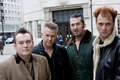 Polecats photo