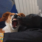 lmathilda thumbnail