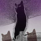 luna_module thumbnail