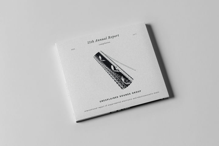 11th Annual Report | Various Artists | Unexplained Sounds Group