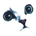 myks thumbnail