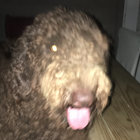 tyasotky thumbnail
