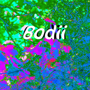 Bodii