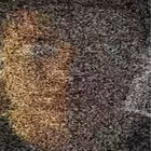 reclamationpark thumbnail