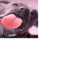 seejay24 thumbnail