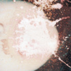 fraser_p thumbnail