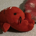 ceefo thumbnail