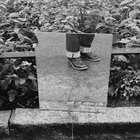joshua-190700 thumbnail