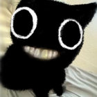 sebbspirit thumbnail