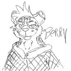 berryusesears thumbnail