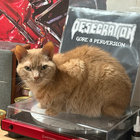 loudcat666 thumbnail